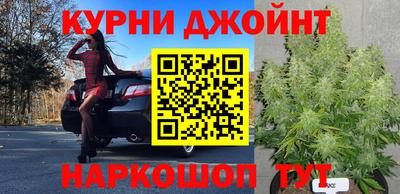 прущие грибы Кулебаки