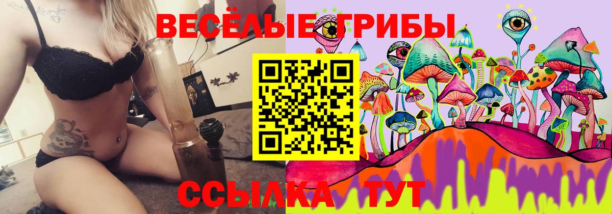 Псилоцибиновые грибы Psilocybe  Вход с VPN  Будённовск 